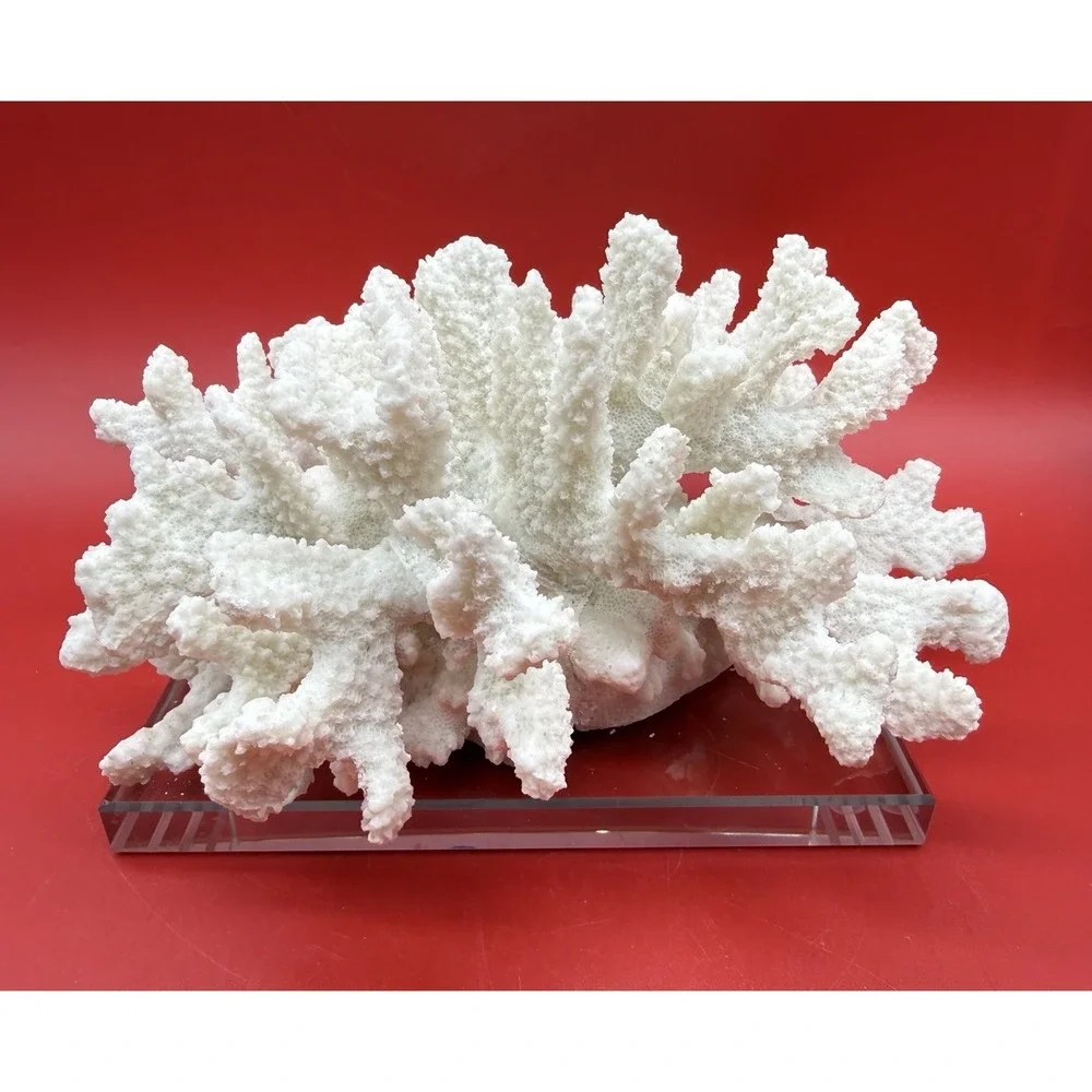 RARE Vintage Faux Large Heavy White Cauliflower Coral 10.5